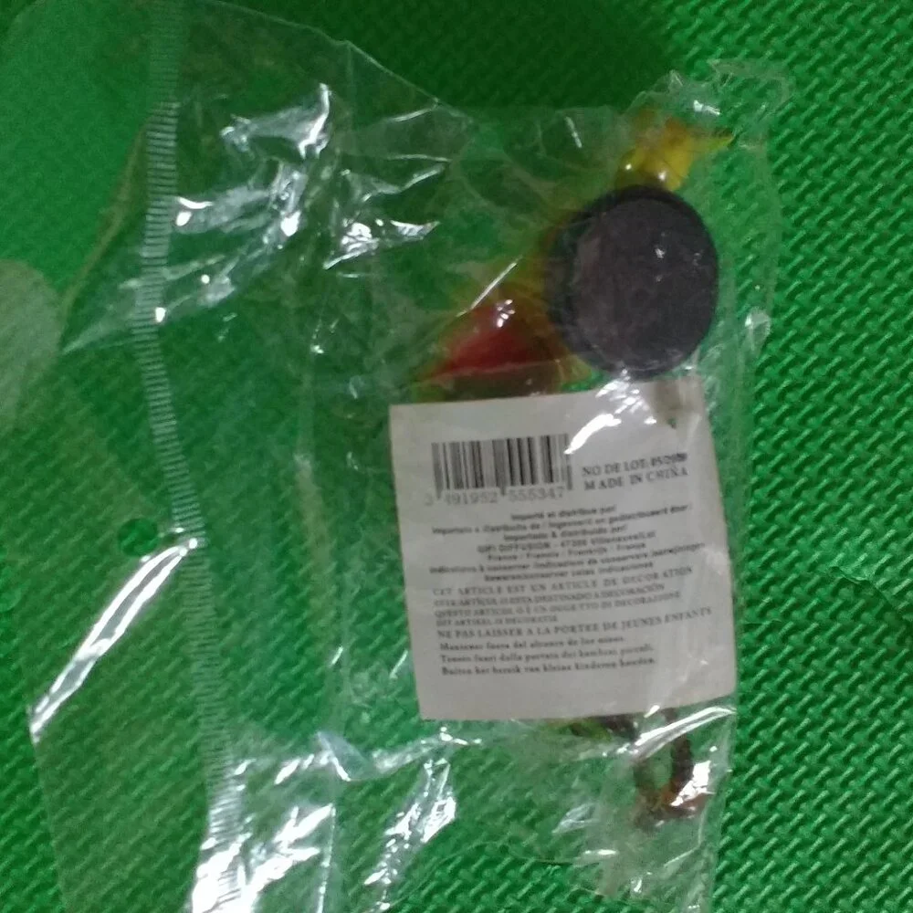 Frog Thermometer + Caterpillar magnet New
